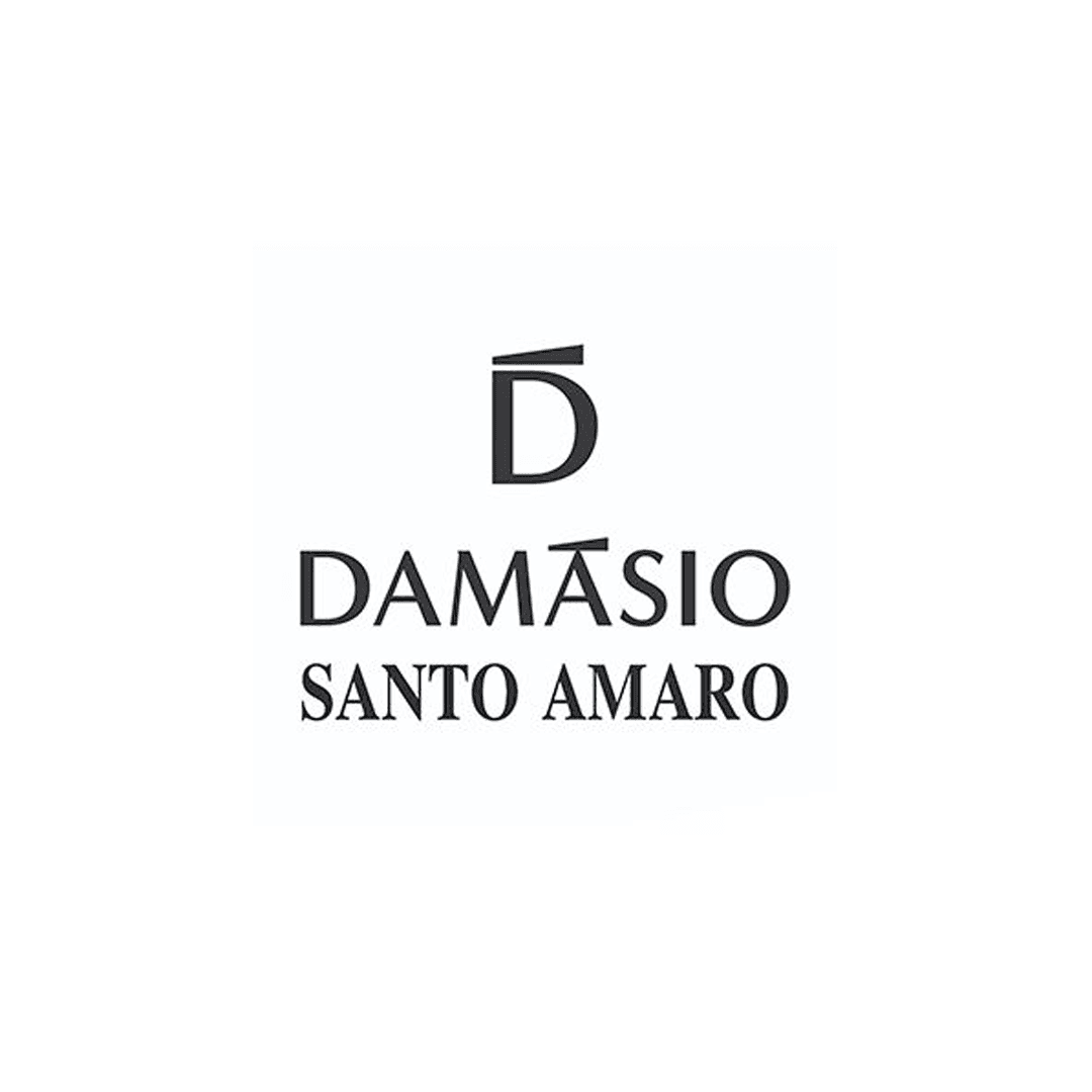 Damásio Educacional Santo Amaro